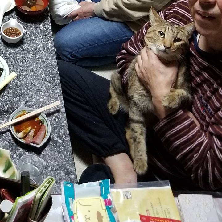 69dedbef 682d 4784 bb5c 7bce83d17f25 1641303673529