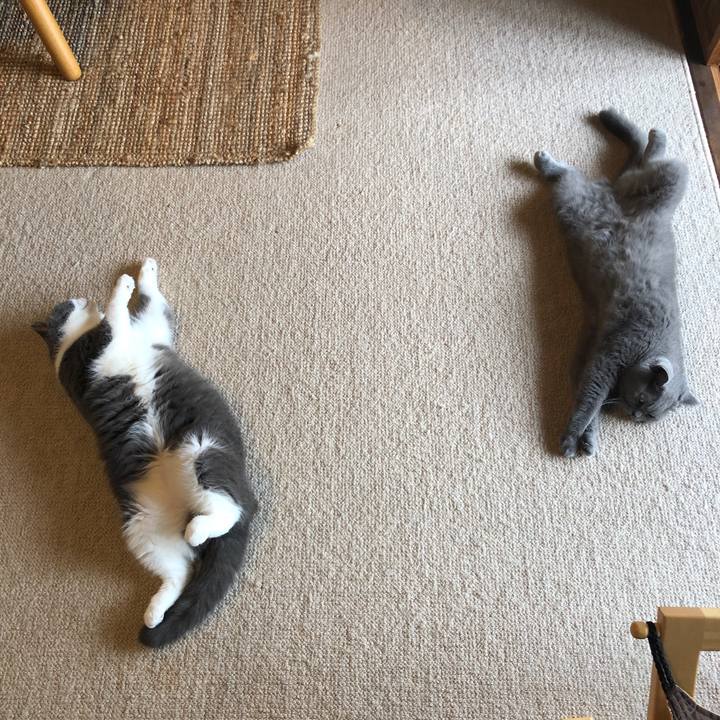 69dedfbf aaa2 4b42 a866 23a252d3e265 1632096471581