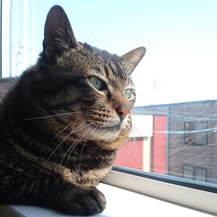 69dee1b3 5195 4e6a a252 c09c084a6aec 1529401635736