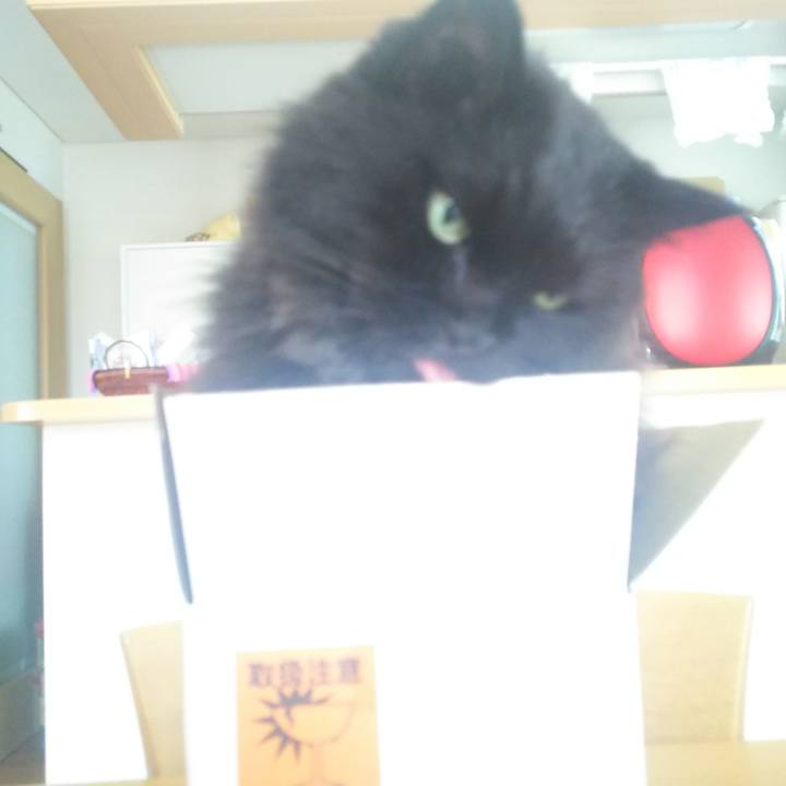 69df02f1 0807 4b72 a644 539f0dd2f0cc 1567564137437