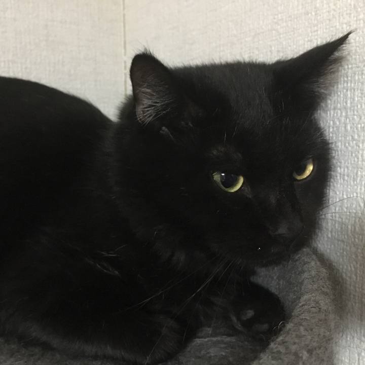 69df1d01 ef4c 4a81 b404 7f062781eb81 1534477506136