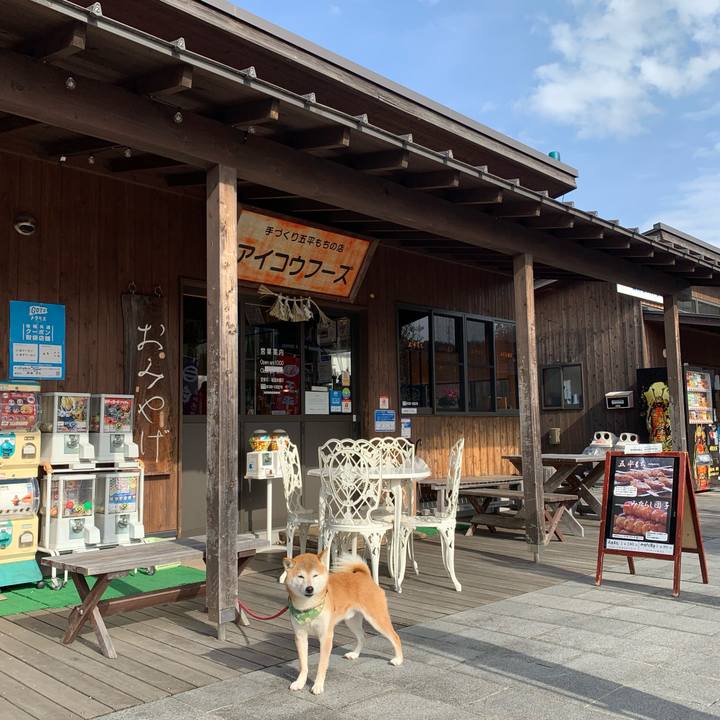 69df3ec6 bd73 4aca bb03 eb939aa20f1f 1612351211256