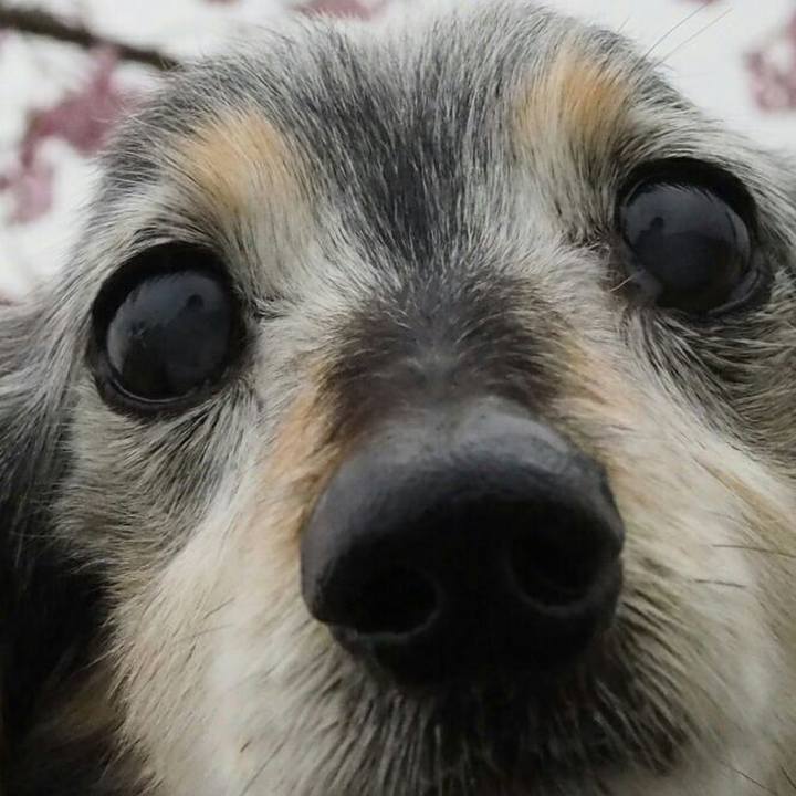 69df46b5 5f6c 429c a092 b7521ea1c450 1523455683088