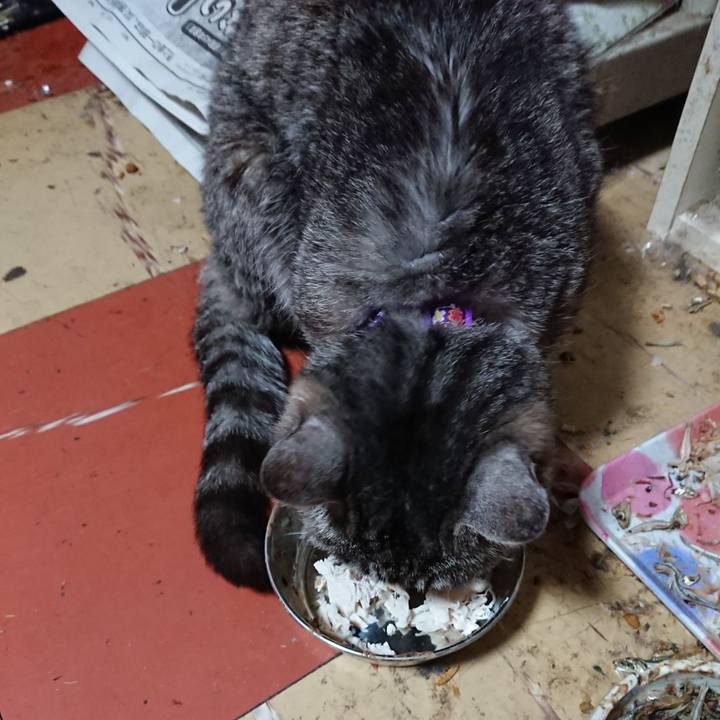 69df543e 304b 4eb2 9cf0 af4eb53d8f69 1578119033191