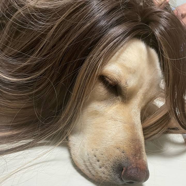 69df7b60 6921 413d ac66 bf7cfbe889ad 1644326177320