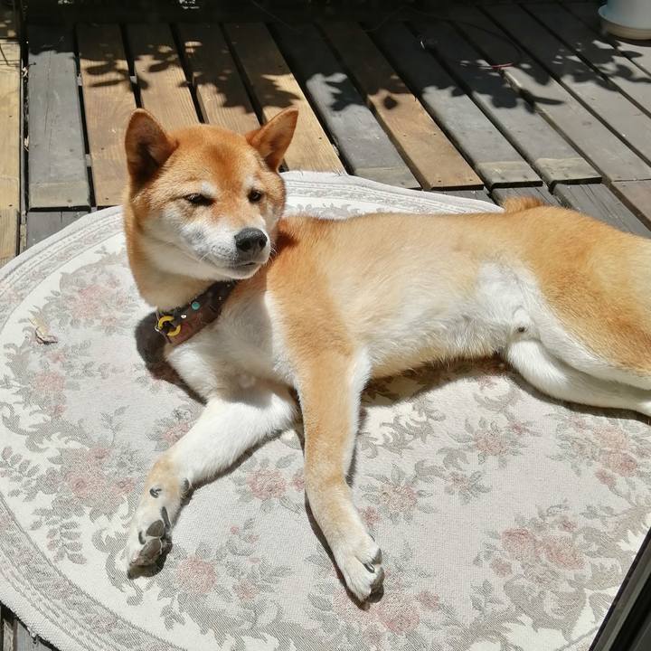 69df8800 65f1 4d2a 8979 693fc90414d4 1591757472066