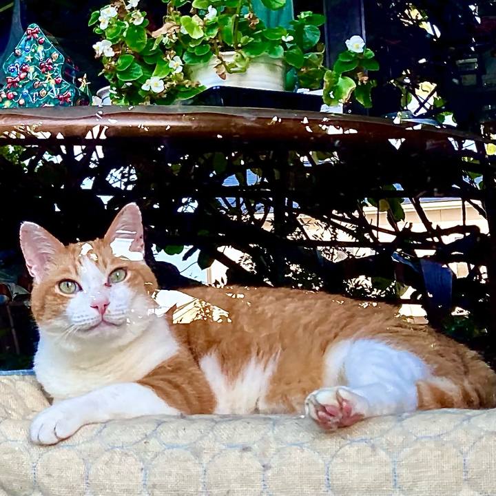 69df99c0 b4cf 4654 9e12 d165286da102 1656558593943