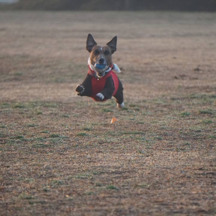 69dfa3fc 2276 4281 b118 c5b12a49d05d 1551738764721