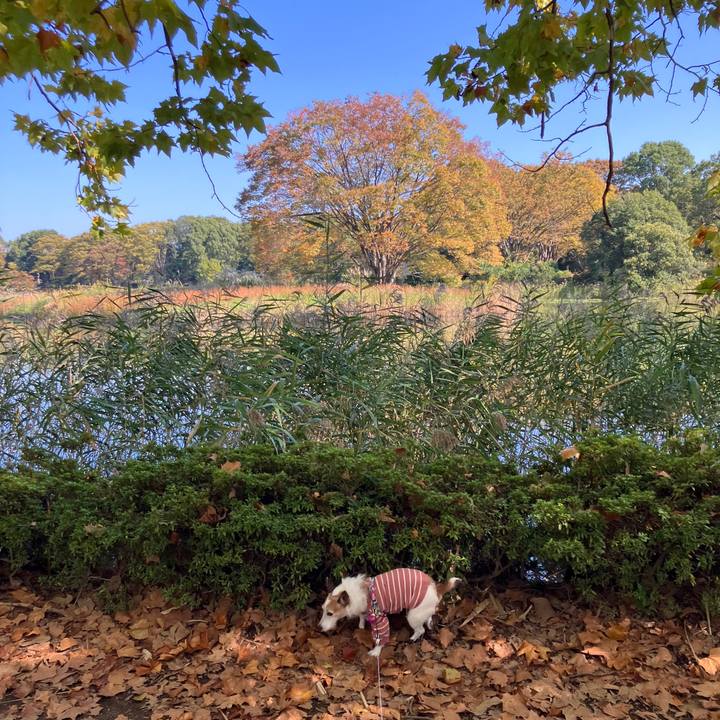 69dfa6bc 9eb6 47d8 8d9c a30fa826aa31 1730762239084