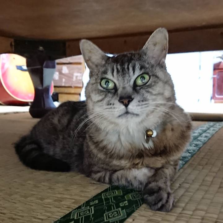 69dfb940 f13e 4eef a9e1 e3a8e6376238 1567590114883