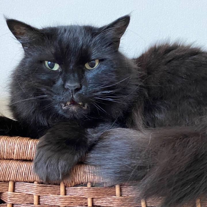 69dfb960 8f23 4081 b450 2ecaef90aadd 1593851063195