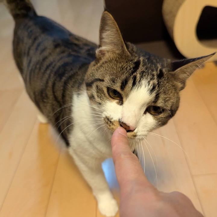 69dfce91 6dd2 49e4 94b4 57c3aeaf7f78 1763162997388