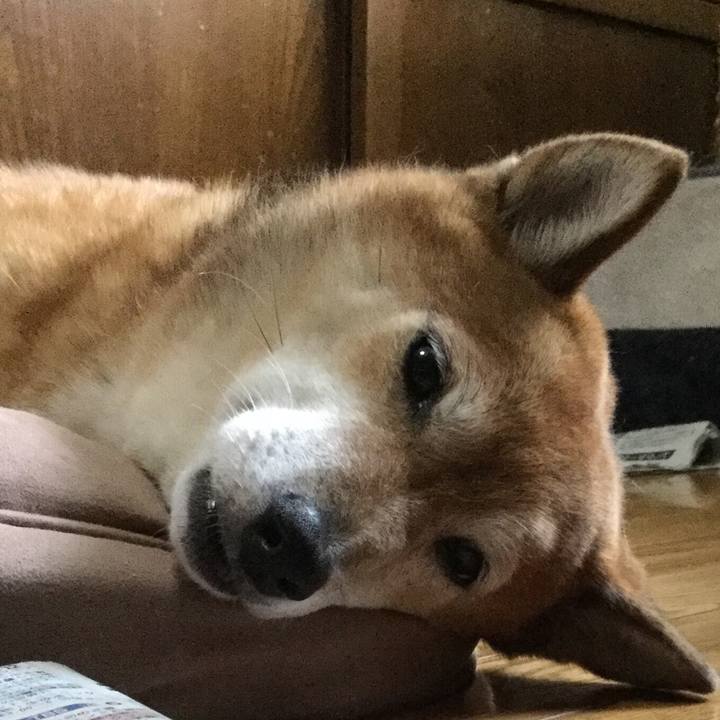 69dfd26b b351 4fbb becb d7c92fba06e0 1565679857019