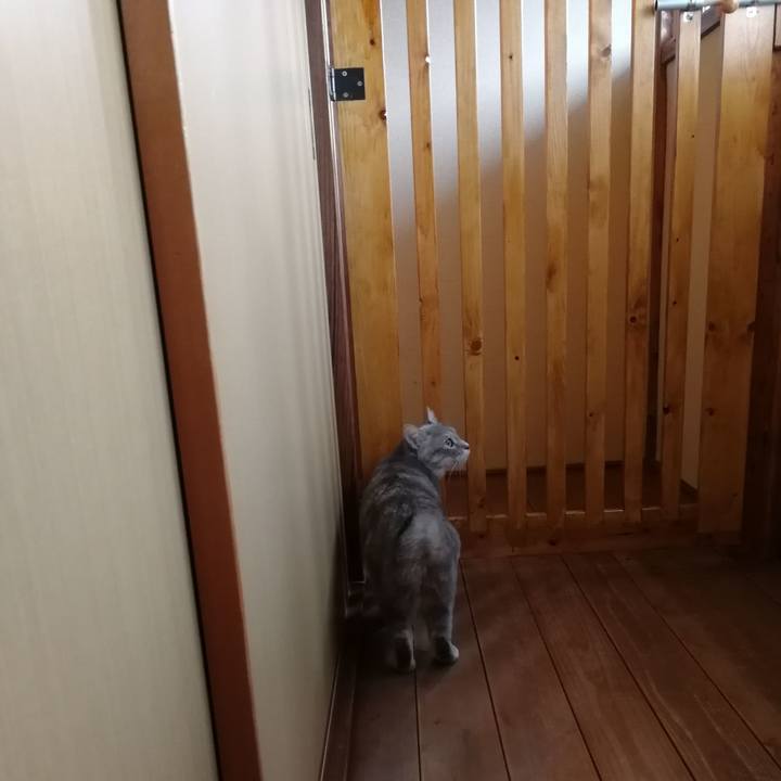 69e01457 3d51 403f 966e 3cb6f6b626c9 1553900817393