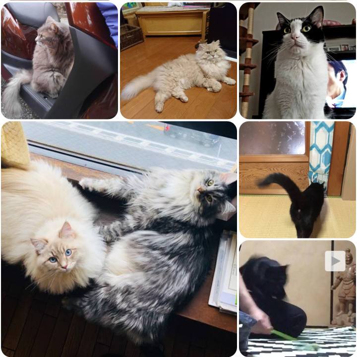 69e02935 ad7c 4fb8 ae57 005ba2978f89 1558095906101