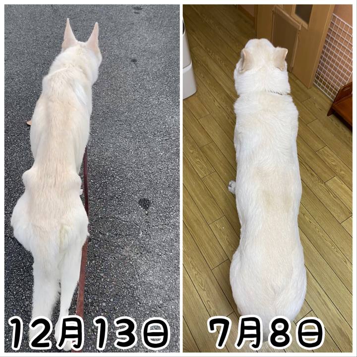 69e04f96 18a7 430f 9e10 5c73a35039b7 1625751518289