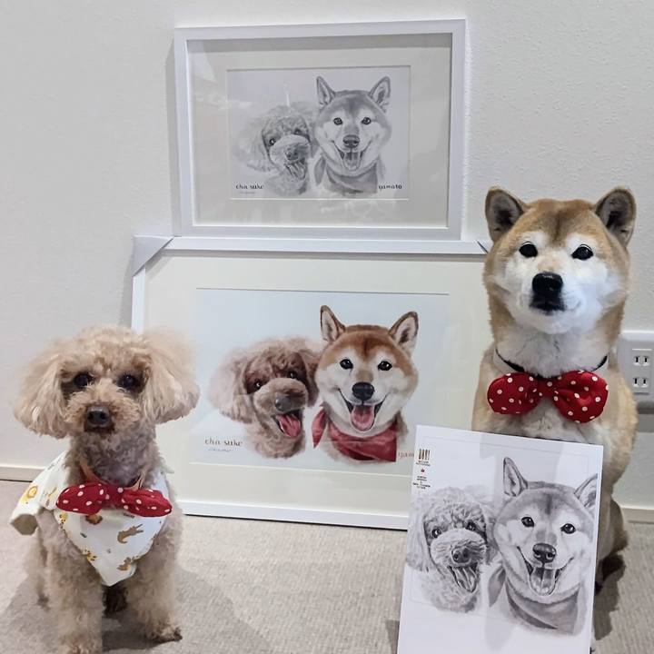 69e06b86 fafe 44c2 86a2 de0e9bae5c5b 1641876215266