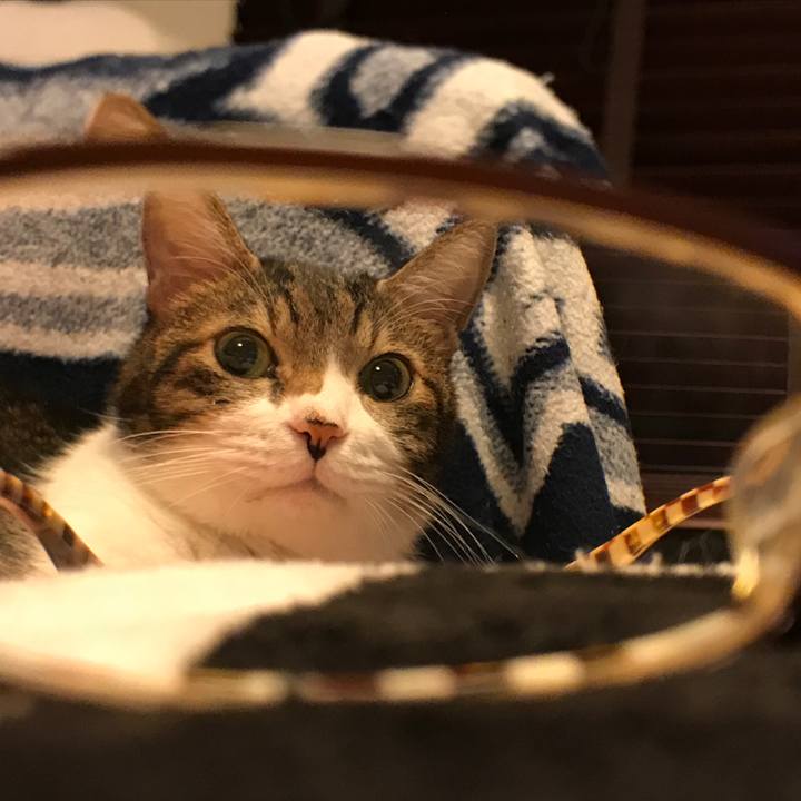 69e09aac c9b4 4b22 a294 3f58a6b89636 1516206612537