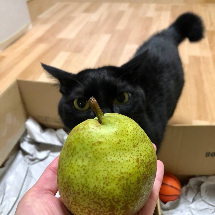 69e0f003 c58e 4753 b92c 15d2e1ec3519 1573426514608