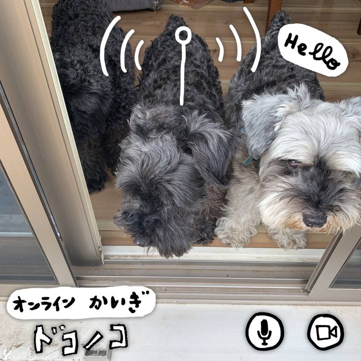 69e1092f 77ca 4427 9664 a3b3e87c2dd2 1591163627689