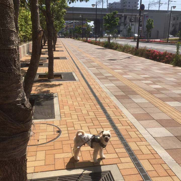 69e11d1d 9d4f 4482 9b9d 882cd10e67d0 1558850835102