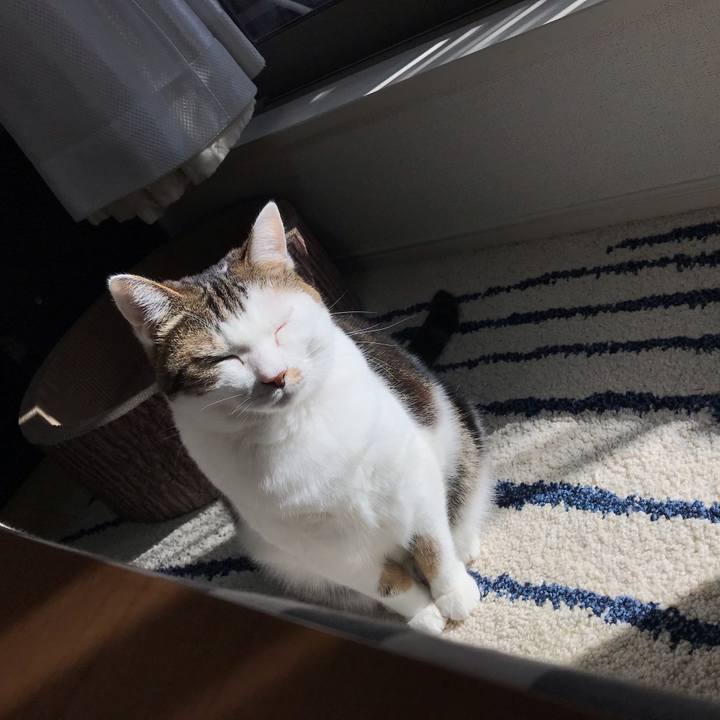 69e1a54e 3565 4b8b a41b bbb1c262f941 1540783733823