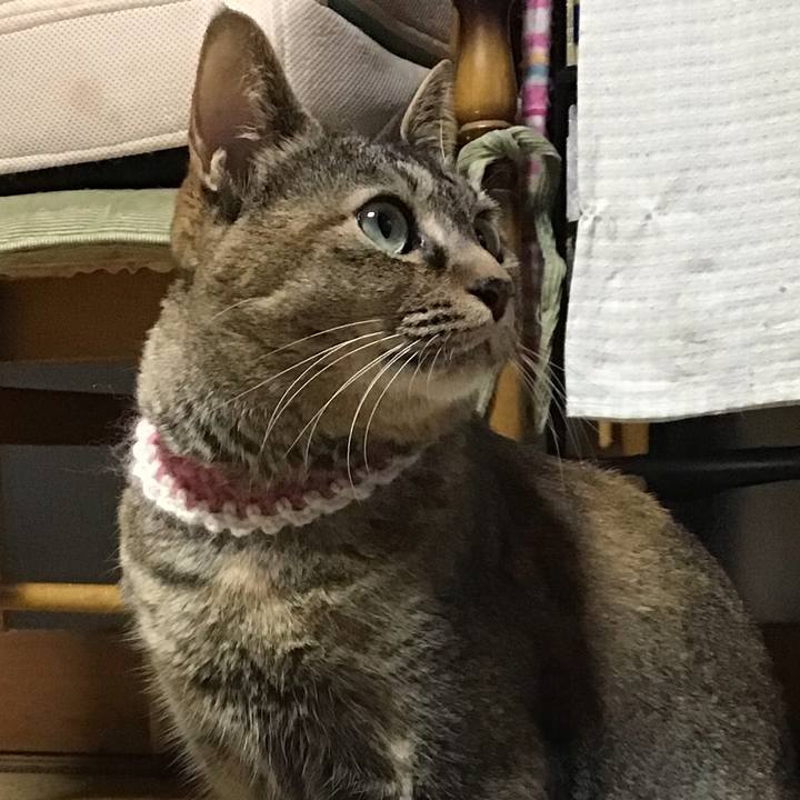 69e1a87a a9c0 4ea6 9fbc 04d907c20116 1651397688841