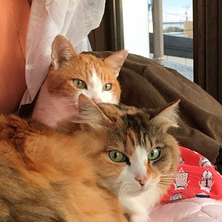 69e1a8fb 677a 42cb bb2a fcbcb8662b27 1578970941676