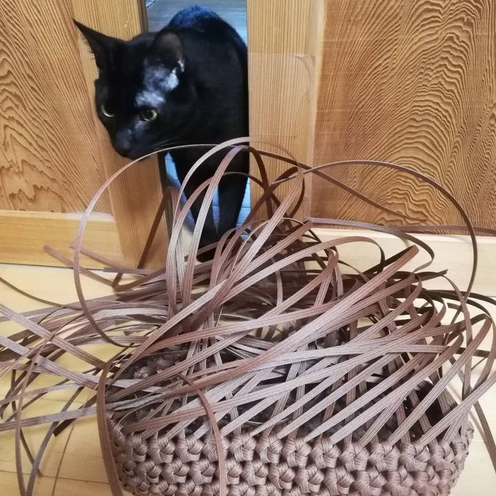 69e1aac5 1ec3 451d a23f 73786c596c3d 1667517072686