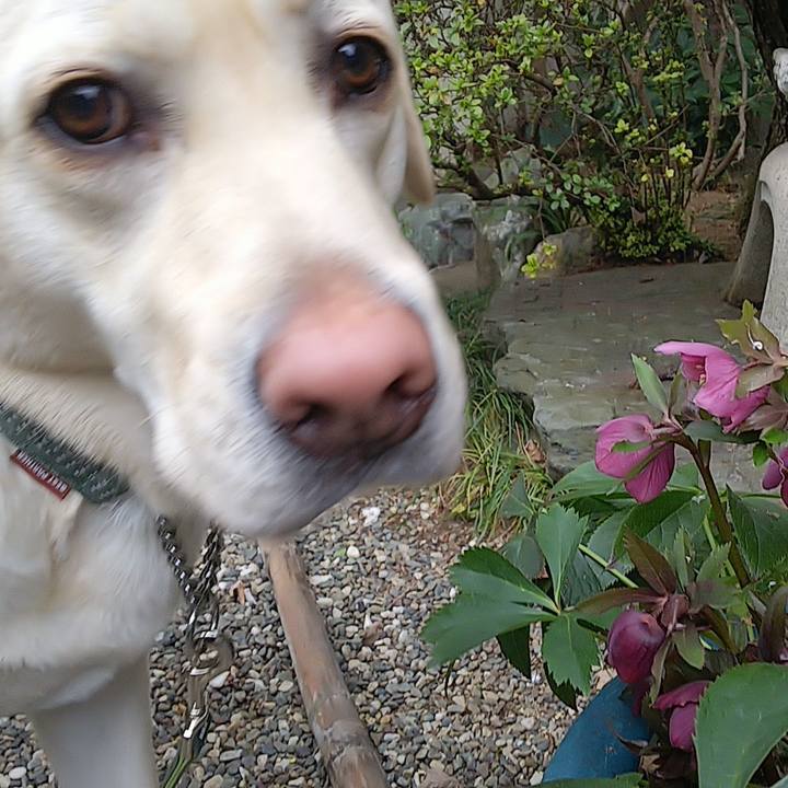 69e1ab26 9fc2 4ce6 bbca 09e72024d3ac 1519176514178