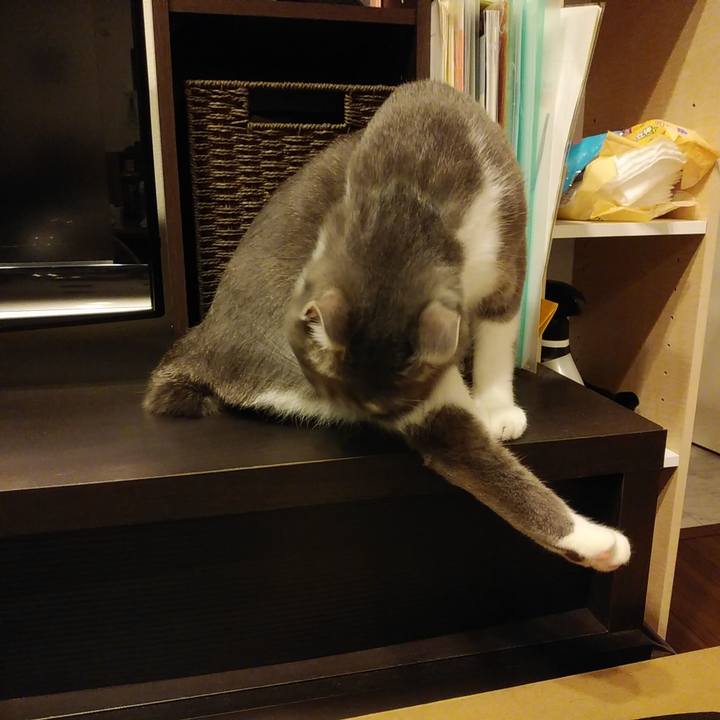 69e1ec59 df3c 4edb b76e 3670a87d1f35 1593612127905