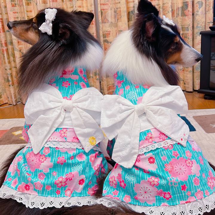 69e2364b 73fd 4b9a bb39 104d80b5fdcb 1682450302354