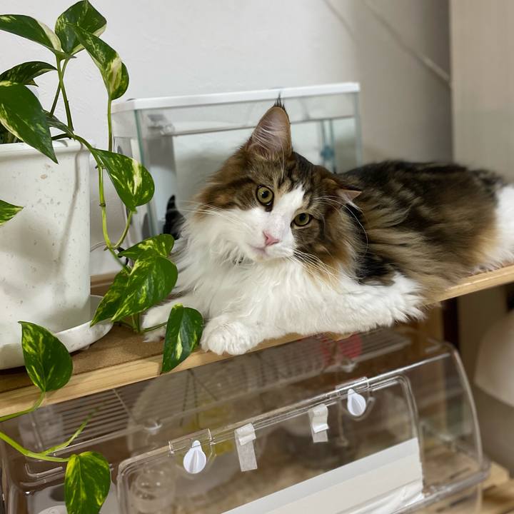 69e251ce abdc 4152 8804 b01da6a93e26 1644270520464