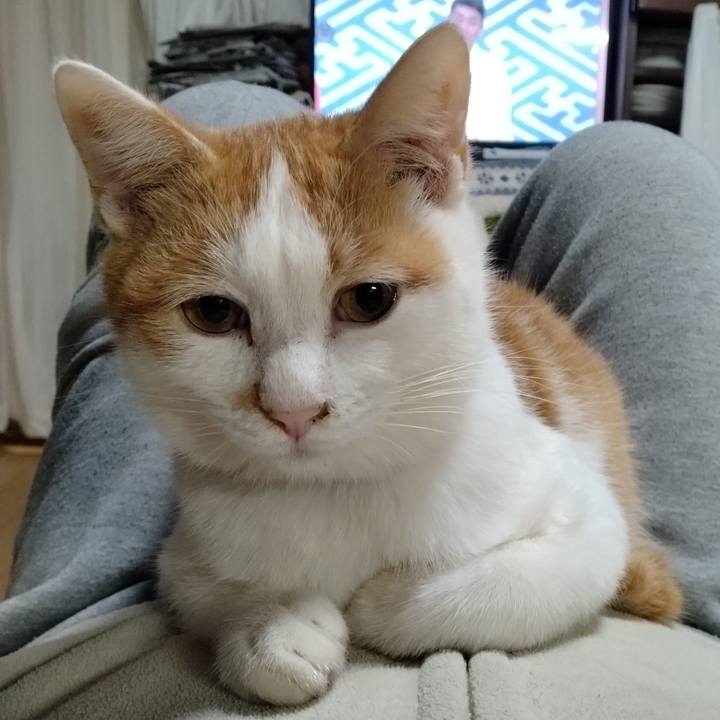 69e25624 9c41 4b7d b470 d7fc51270bd1 1739697571692