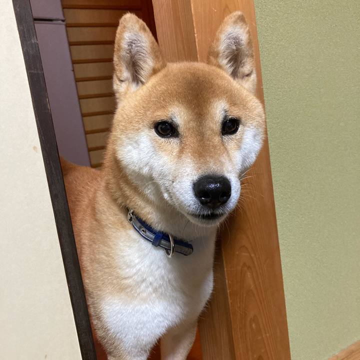 69e25f19 37a3 4b05 988a ccae73d048e8 1658487794803