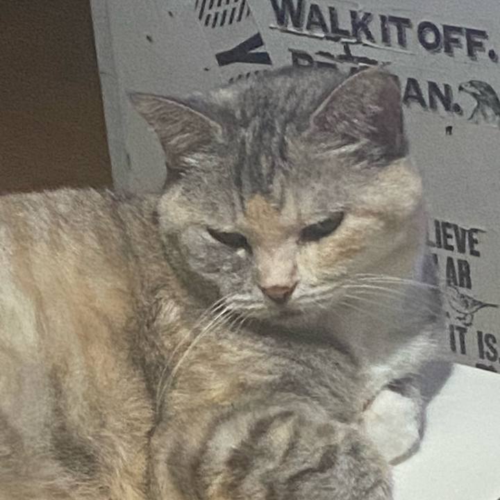 69e2e657 e258 459e ac76 af4330063203 1723902349111