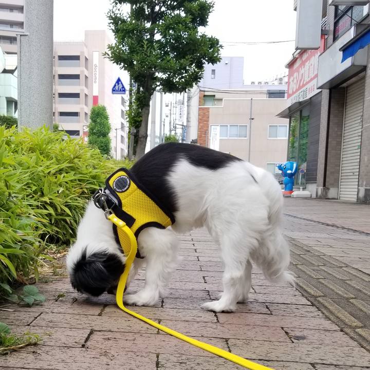 69e2eaf7 02f4 4fbf 91fe 7fc95ce27f27 1623842579278