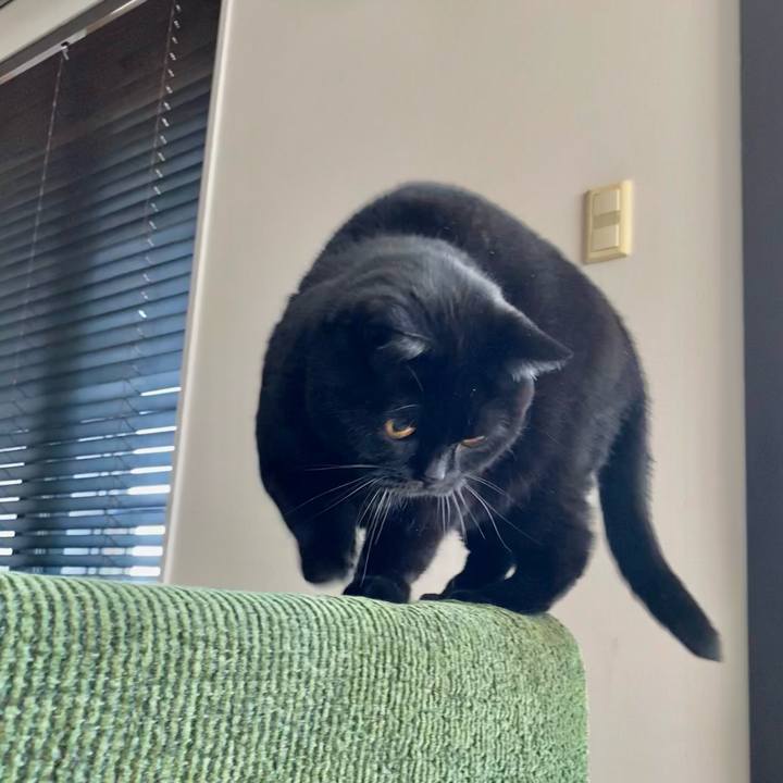 69e2eca7 6076 4633 b488 7e429e57c0bf 1636513527158