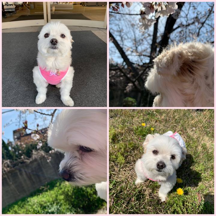 69e2f067 997c 4246 9e2d 728df7033778 1616570866493