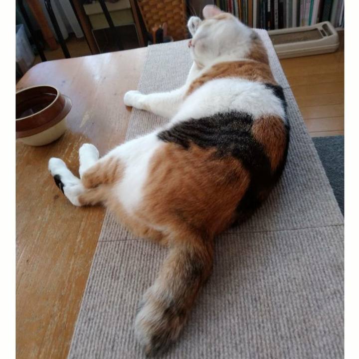 69e2fdf1 2baa 4422 80f4 12d68e636772 1598269644129