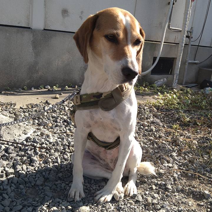 69e31132 b414 4757 aade f8839d9349d7 1667564114103