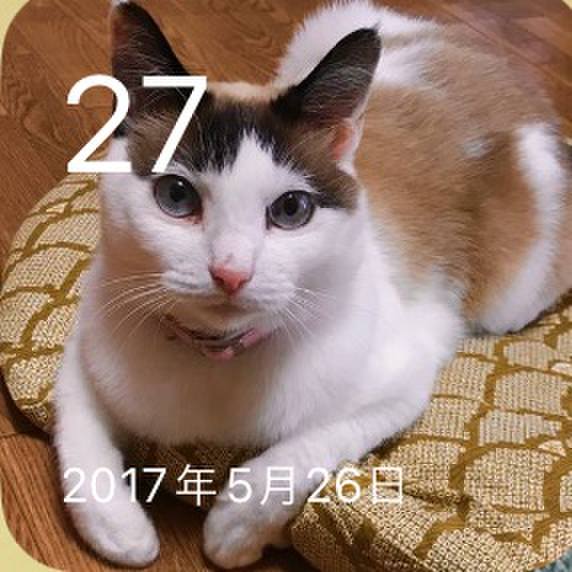 69e31968 11f4 4eea 9203 b7994a638281 1717411243954