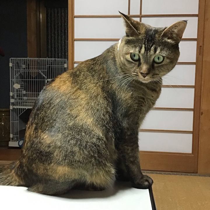 69e336d9 9ca7 4853 81ca cea72867ca44 1697542159513