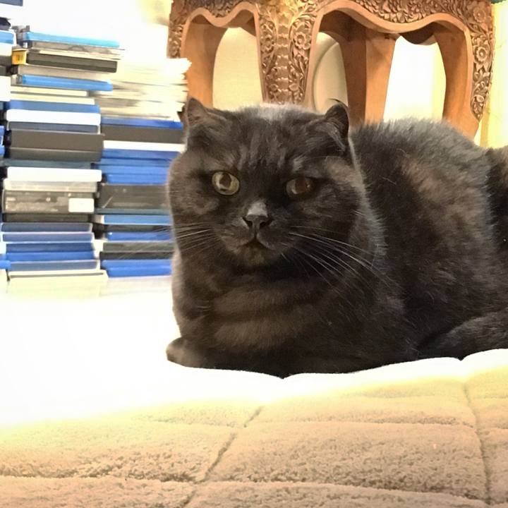 69e33738 9735 41ed 9a45 83e2d3167165 1510070210104