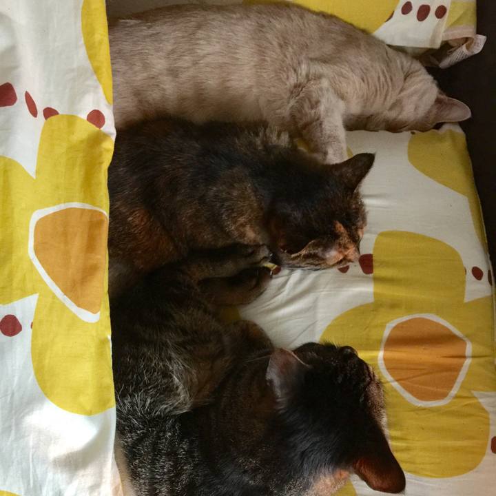 69e34c0c d651 43a6 8877 4567a16a41bd 1524522432687