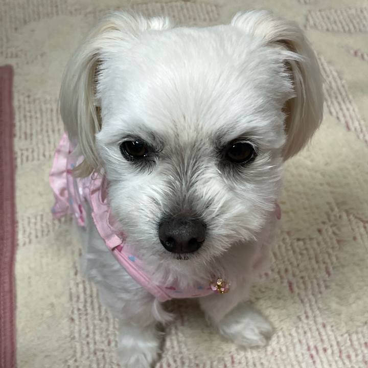 69e350ee 1696 4a0e 8cd1 01126f08cd34 1680775877413