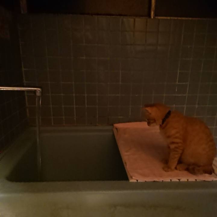 69e35b42 3ea0 40b7 a9b8 d64028753f9d 1635501164032