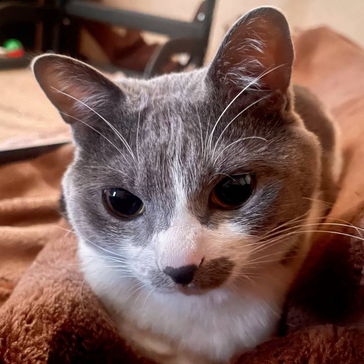 69e37a0a 5fd9 4a05 b74a a4713379488c 1646262384653