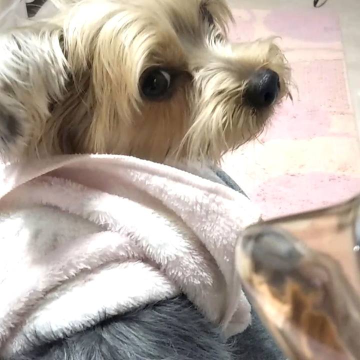 69e3a290 1af4 4bb6 a2f1 33b1b19f0f46 1578372344357