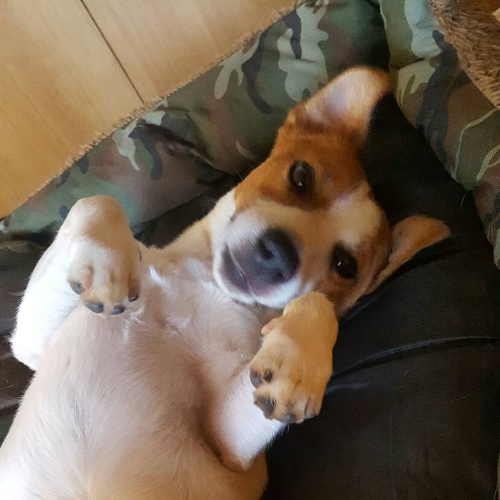 69e3bff4 0791 4612 ada4 4c10a9d3475e 1564292438902